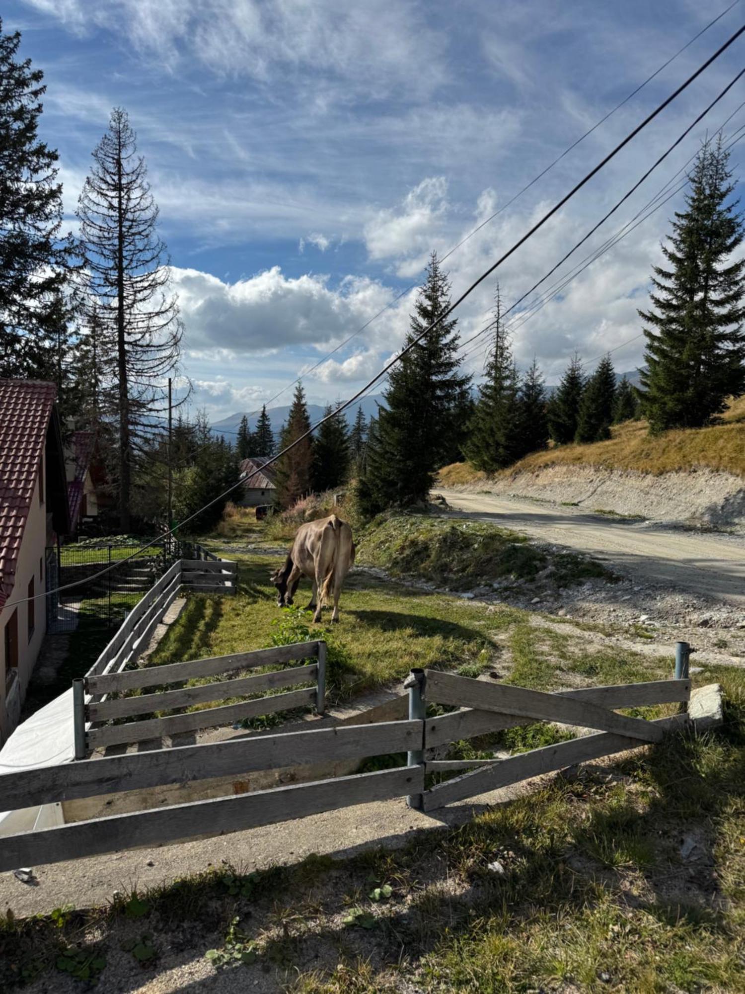 Casa Hai La Рынка Экстерьер фото